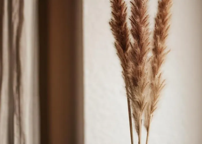 Διαμέρισμα Ahoi Lotta *